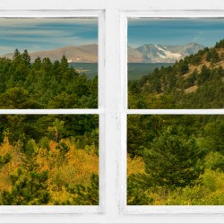 Rocky Mountain Whitewash Picture Window View