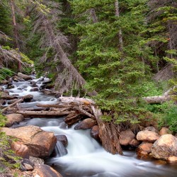 Rocky Mountains Stream Scenic Landscape