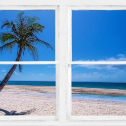 Tropical Paradise Whitewash Window View