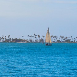 Tropical Sailing Panoramic