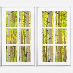 Aspen Forest White Picture Window Frame View