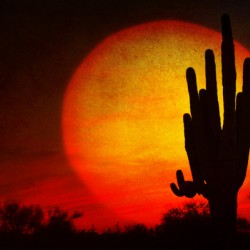 Big Southwest Sunset