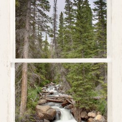 Colorado Rocky Mountain Stream White Rustic Window View