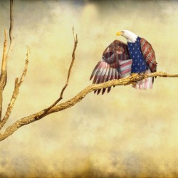 Patriotic Eagle with Stars and Stripes