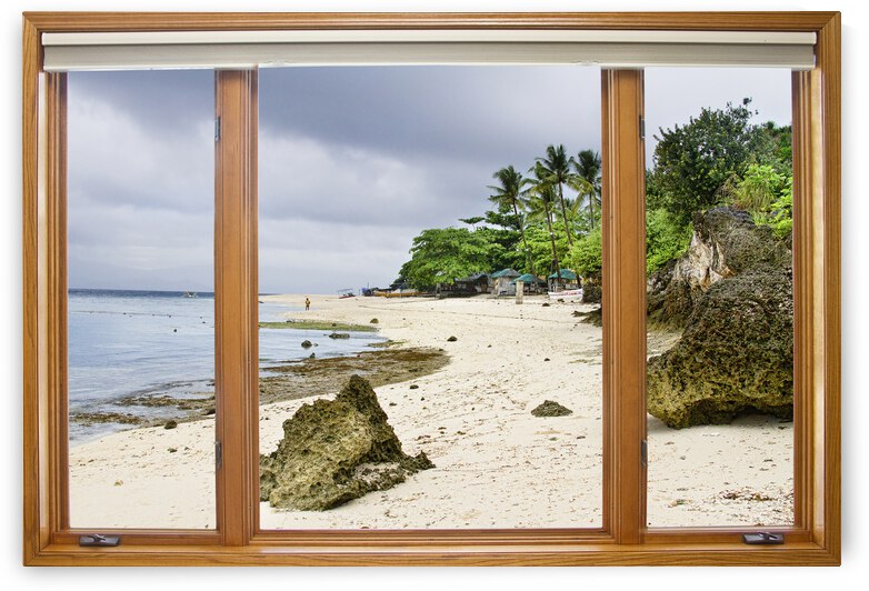 Beach Tropical Wood Window View by Bo Insogna