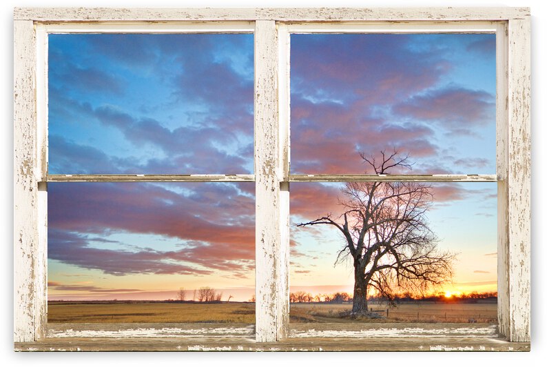 Beautiful Morning White Window Frame Art by Bo Insogna