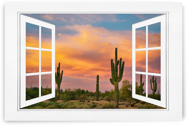 Arizona Saguaro Colorful Sky White Open Window by Bo Insogna