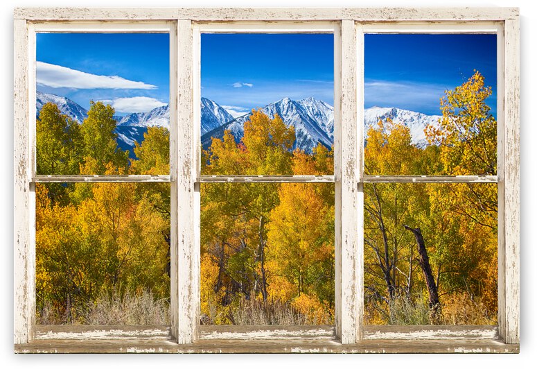 Independence Pass Autumn View White Window by Bo Insogna