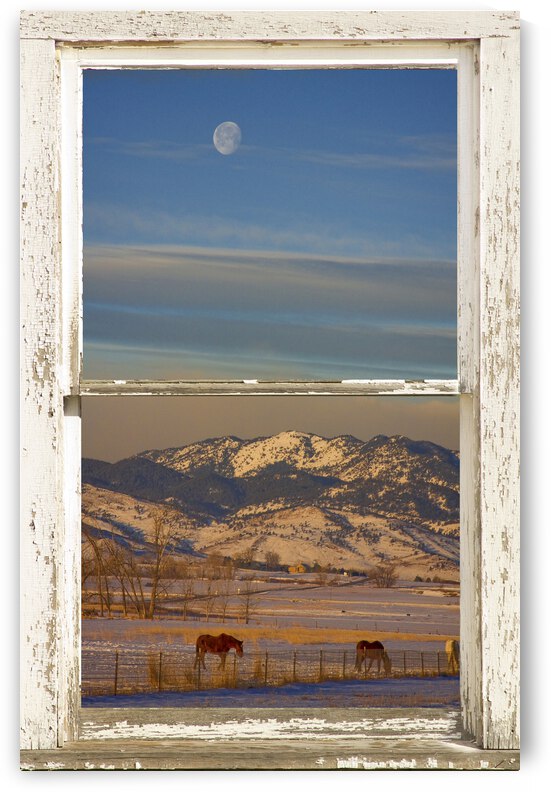 Horses Moon Mountains Snow White Peel Rustic Window by Bo Insogna