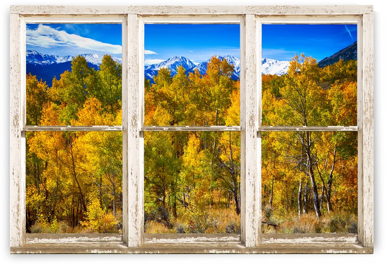 Independence Pass Autumn Colors White Barn Window by Bo Insogna