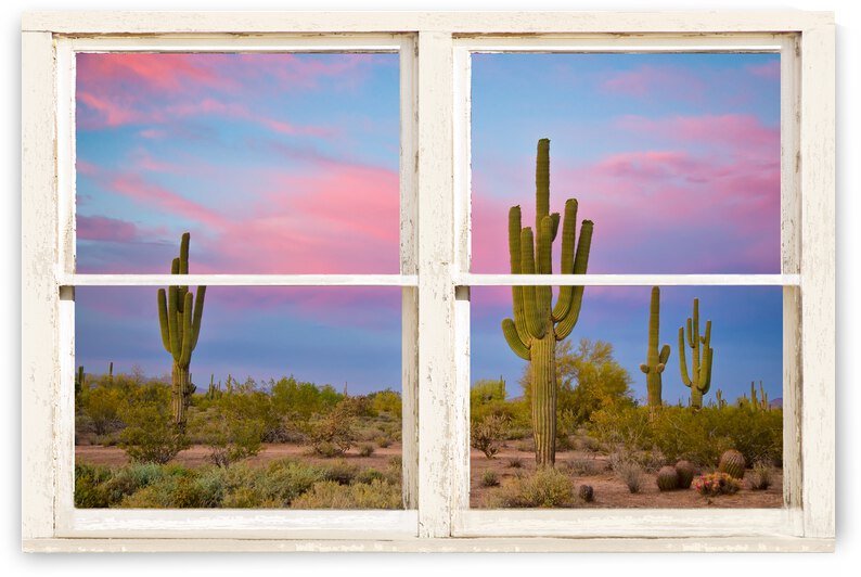 Colorful Southwest Desert Window View by Bo Insogna