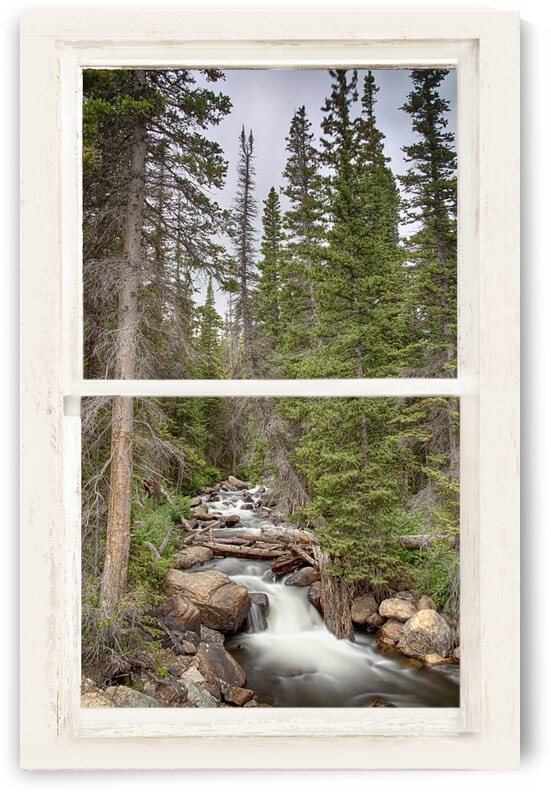 Rocky Mountain Stream White Rustic Window by Bo Insogna