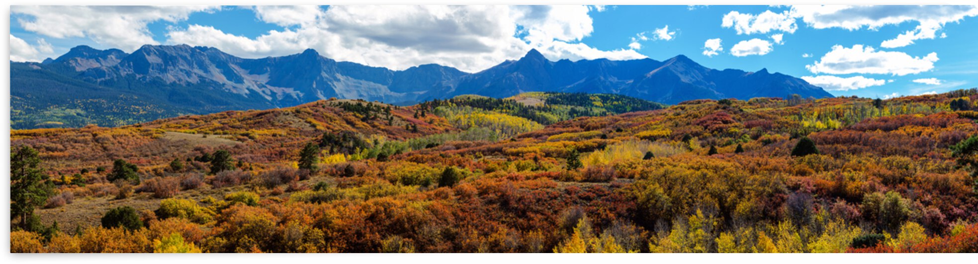 Telluride Panorama 11 by Bo Insogna