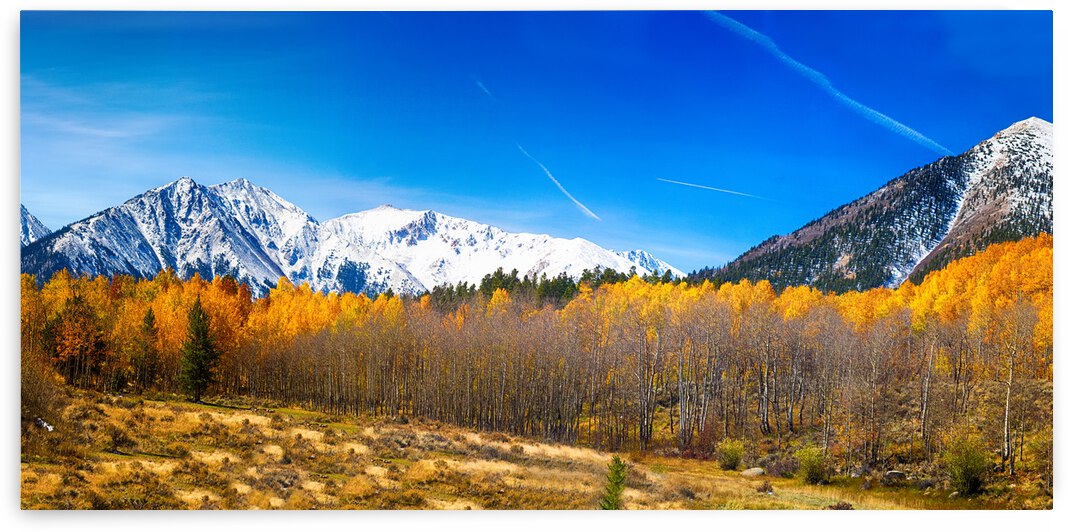 Colorado Rocky Mountain Independence Pass Fall Pano by Bo Insogna