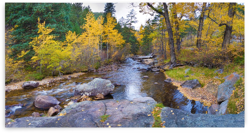 Colorado Autumn Creek Happy Place Panoramic by Bo Insogna
