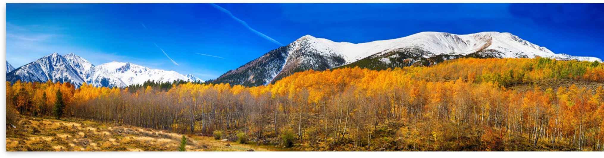 Colorado Rocky Mountain Independence Pass Pano by Bo Insogna