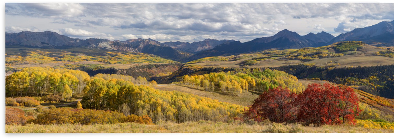 Rocky Mountain Valley Color Panoramic View by Bo Insogna