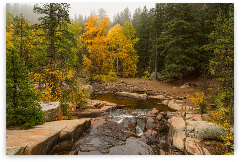 Downstream St Vrain by Bo Insogna