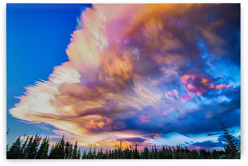 High Elevation Forest Sunset Sky Timed Stack by Bo Insogna