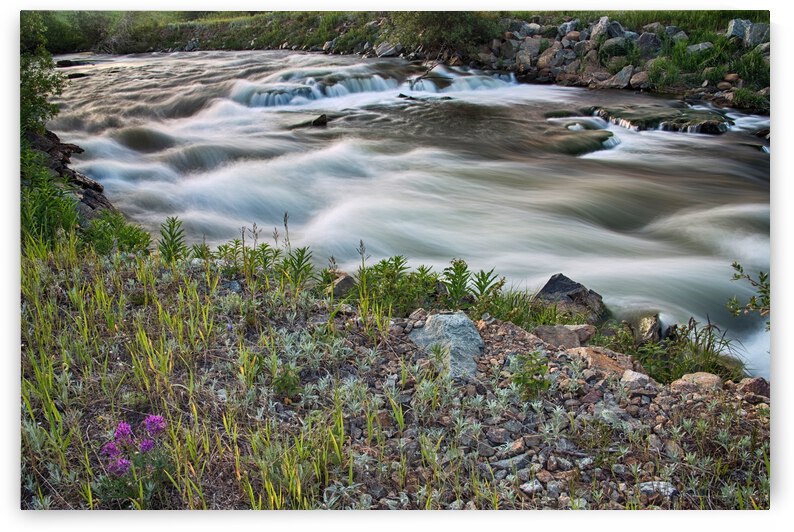 South Boulder Creek Summer View by Bo Insogna