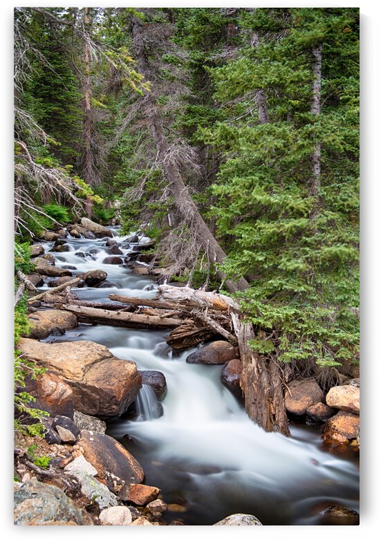 Rocky Mountain Stream by Bo Insogna