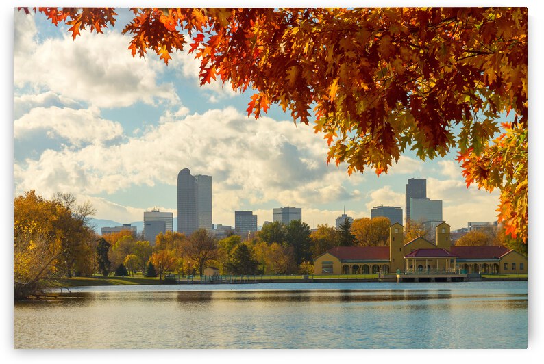 Denver Skyline Fall Foliage View by Bo Insogna