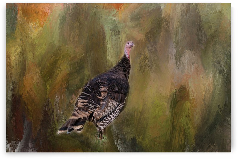 Wild Native Merriam Turkey by Bo Insogna