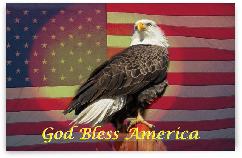 God Bless America by Bo Insogna