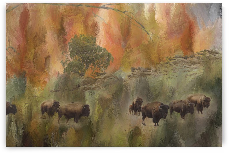 Bison Herd Watching by Bo Insogna