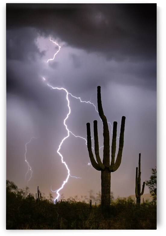 Sonoran Desert Monsoon Storming by Bo Insogna