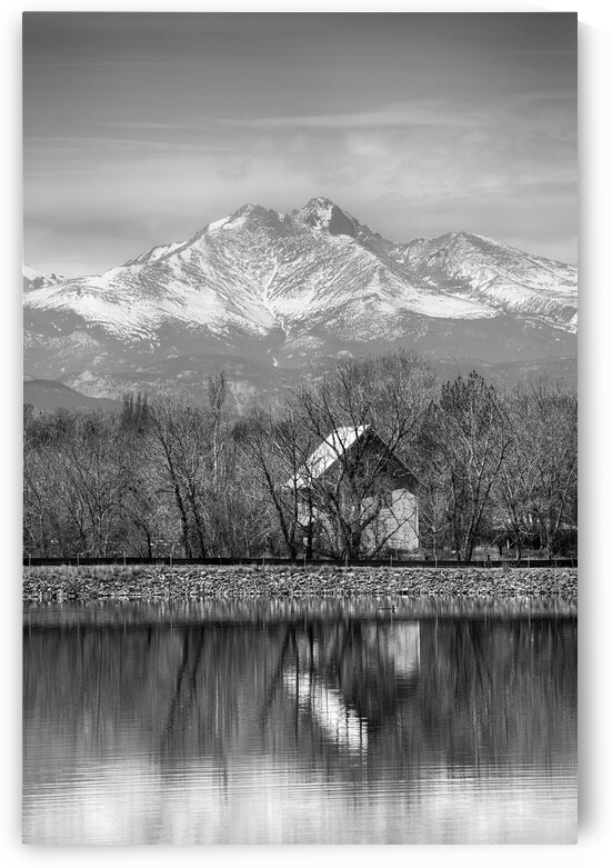St Vrain Ponds Longs Peak View In Black and White by Bo Insogna