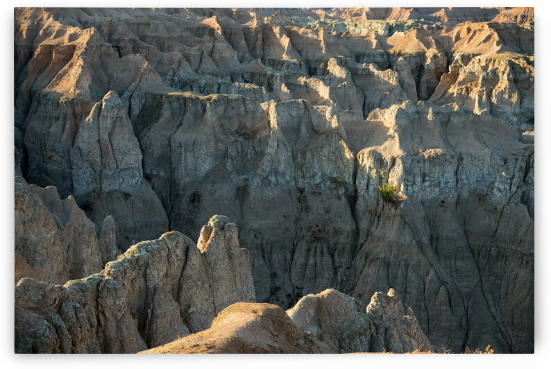 A Tapestry of Textures - Exploring the Badlands by Bo Insogna