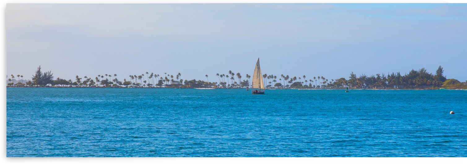 Tropical Sailing Panoramic by Bo Insogna