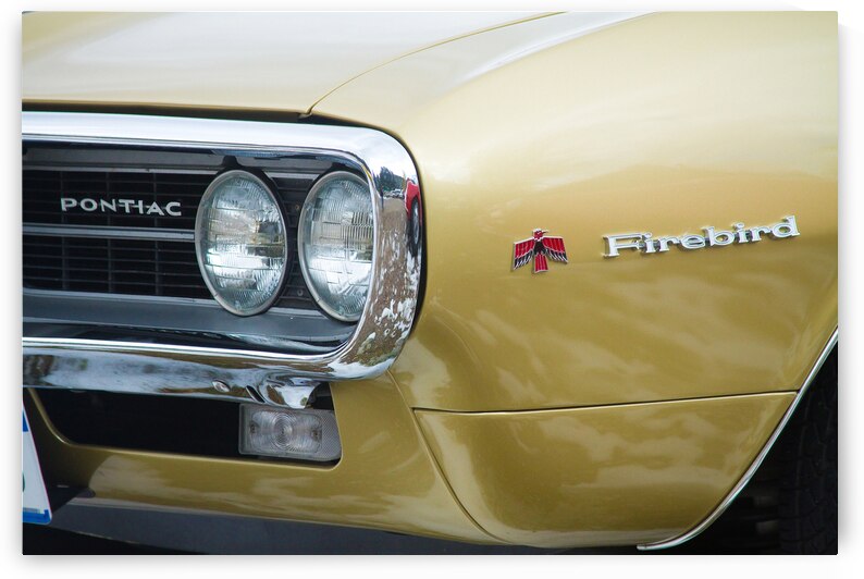 Pontiac Firebird Gold 1967 by Bo Insogna