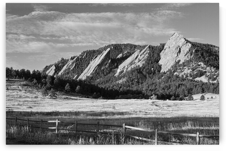 Flatirons from Chautauqua Park BW by Bo Insogna