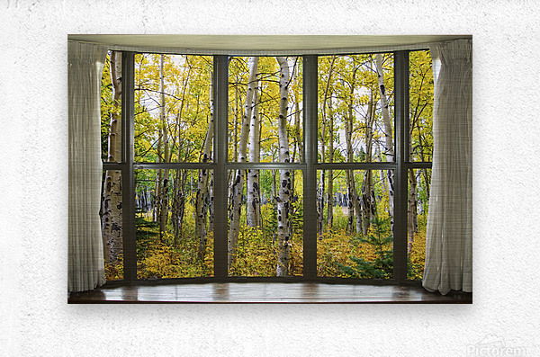 Autumn Forest Bay Window View  Metal print