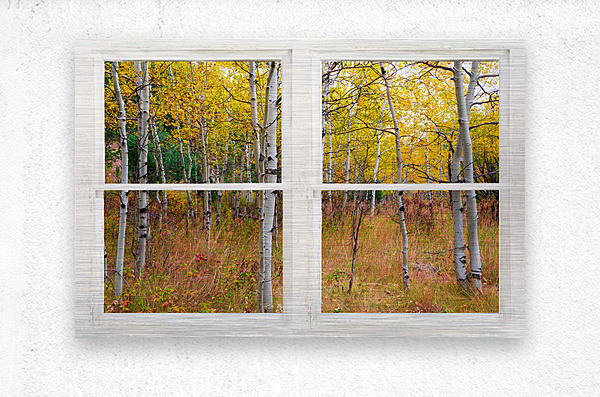 Happy Forest  Autumn Season Rustic Window View  Metal print