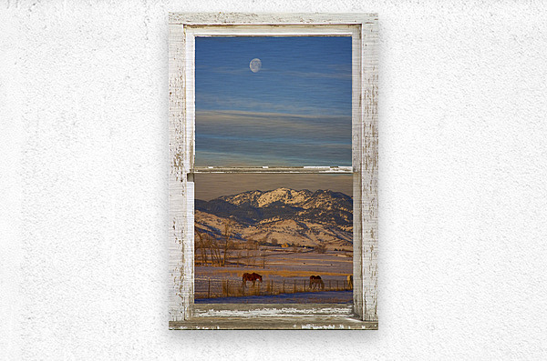 Horses Moon Mountains Snow White Peel Rustic Window  Metal print