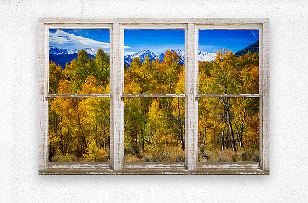 Independence Pass Autumn Colors White Barn Window  Metal print