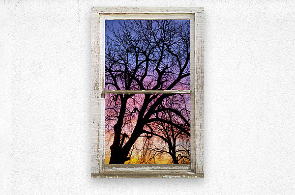 Colorful Tree White Farm House Window Portrai  Metal print