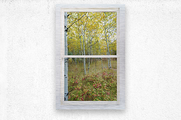 Forest Delight  White Window View  Metal print