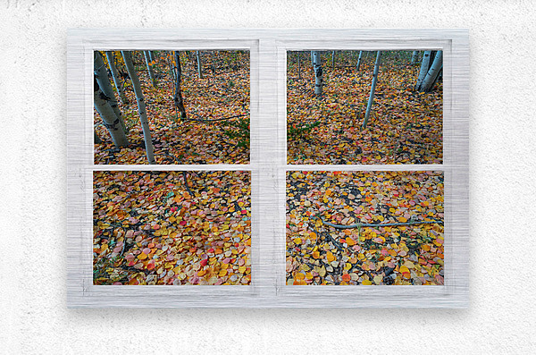 Mother Nature Whitewash Picture Window View  Metal print