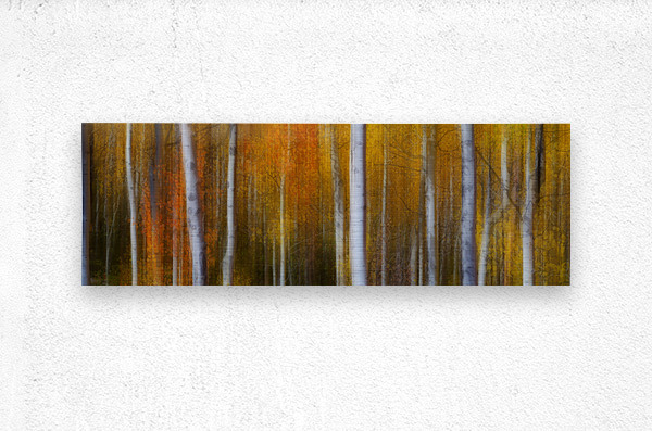 Forest Color Burst Modern Abstract 60x20  Metal print