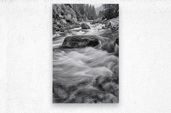Rocky Mountain Streaming in Black and White  Metal print