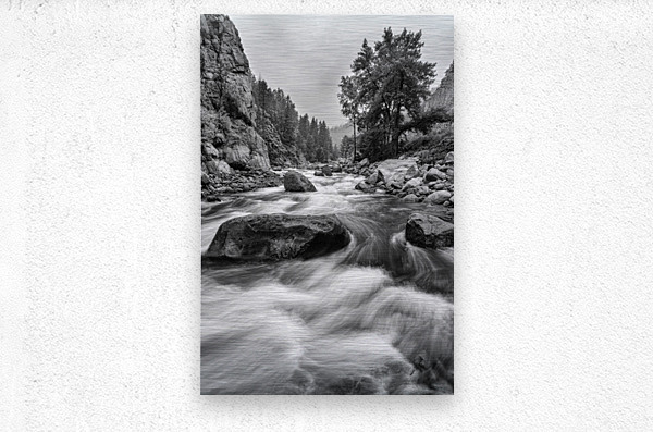 Colorado Black White Canyon Portrait  Metal print