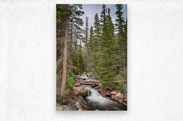 Colorado Rocky Mountain Flowing Stream  Metal print