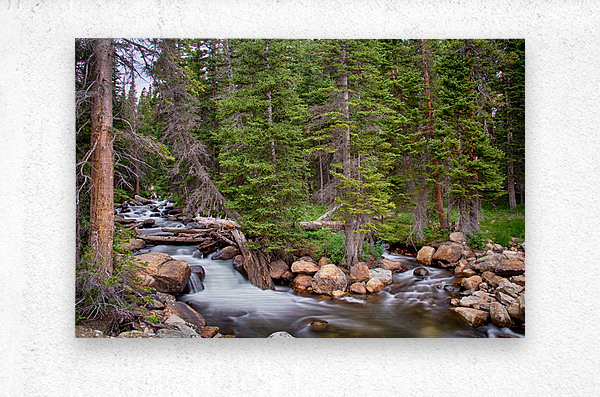 Colorado Rocky Mountain Forest Stream  Metal print