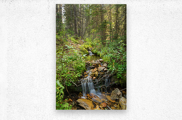 Forest Streaming  Metal print
