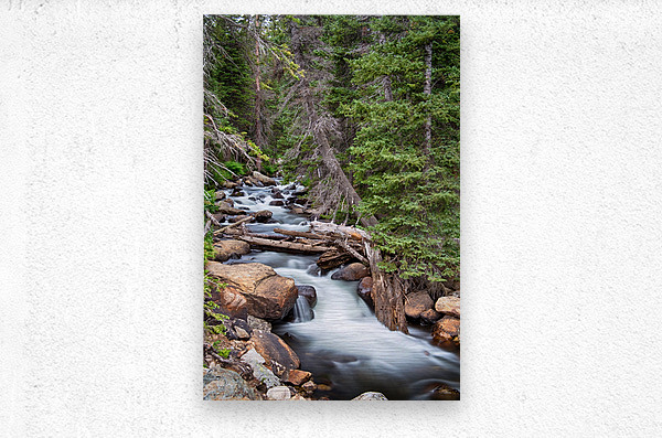 Rocky Mountain Stream  Metal print