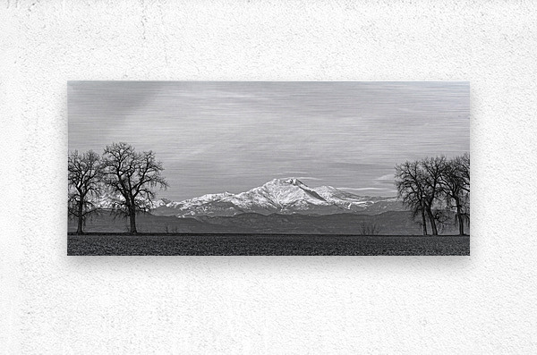Twin Peaks Between The Trees BW Panorama  Metal print